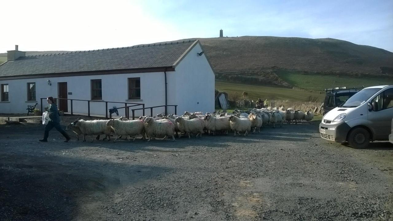 Knockaloe Beg Farm Bed & Breakfast Patrick Bagian luar foto